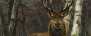 Rosa Bonheur